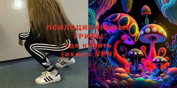 соль ск Абаза