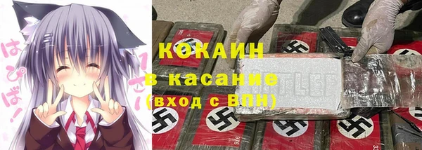соль ск Абаза