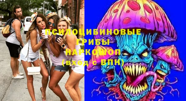 соль ск Абаза