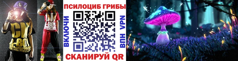 где купить наркоту  Азнакаево  Псилоцибиновые грибы MAGIC MUSHROOMS 